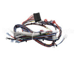 I3-9663 Turbochef Harness, I3, Line Voltage, Mai