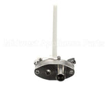 IC129002320 Carpigiani Pump