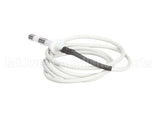 IC155146180 Carpigiani Rod-Level Electronic Control A