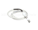 IC155146180 Carpigiani Rod-Level Electronic Control A