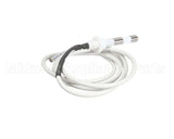 IC155146180 Carpigiani Rod-Level Electronic Control A