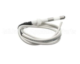 IC155146240 Carpigiani Rod-Level Electronic Control A