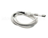 IC155146240 Carpigiani Rod-Level Electronic Control A