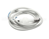 IC155146250 Carpigiani Rodlevel Electronic Control A