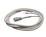 IC155146320 Carpigiani Rodlevel Electronic Control A