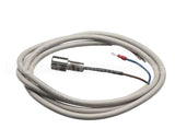 IC155146320 Carpigiani Rodlevel Electronic Control A