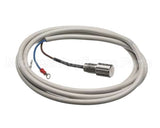 IC155146320 Carpigiani Rodlevel Electronic Control A