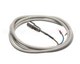 IC155146320 Carpigiani Rodlevel Electronic Control A