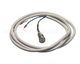 IC155146320 Carpigiani Rodlevel Electronic Control A