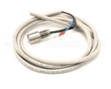 IC155146340 Carpigiani Rod-Level Electronic Control A