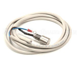 IC155146340 Carpigiani Rod-Level Electronic Control A