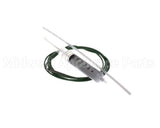 IC193-022960 Carpigiani Kit-Replacement Ptc Probe W/Compound