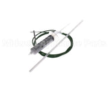 IC193-022960 Carpigiani Kit-Replacement Ptc Probe W/Compound