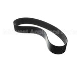 IC531300101 Carpigiani Belt Poly V 914 J36 22N