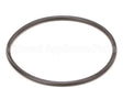 IC541000183 Carpigiani Oring 262 5365 Nb 4550 321