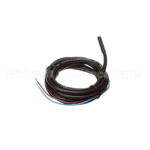 IC572910146 Carpigiani Switch-Dry Reed Stem A061 1V V