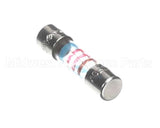 IC576200293 Carpigiani Fuse Omega St 5X20 T 1,25A 250