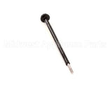 IC596110239 Carpigiani Assembly Plunger And Shank 820