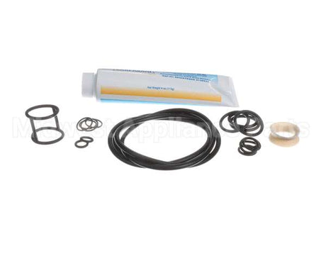 ICA5555830 Carpigiani Tune Up Kit-Uc113G/Gb/Gr