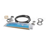ICA5555830 Carpigiani Tune Up Kit-Uc113G/Gb/Gr