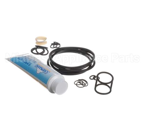 ICA5555830 Carpigiani Tune Up Kit-Uc113G/Gb/Gr