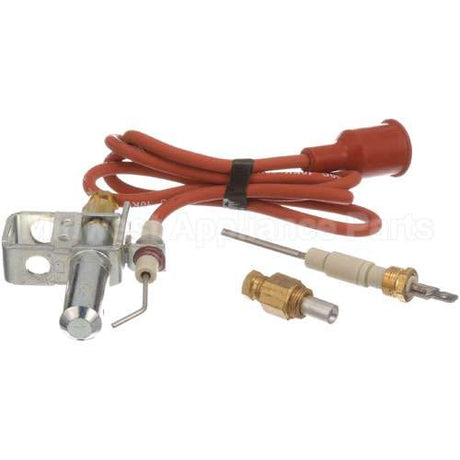 J9993DDW Compatible Johnson Controls Ignitor Pilot