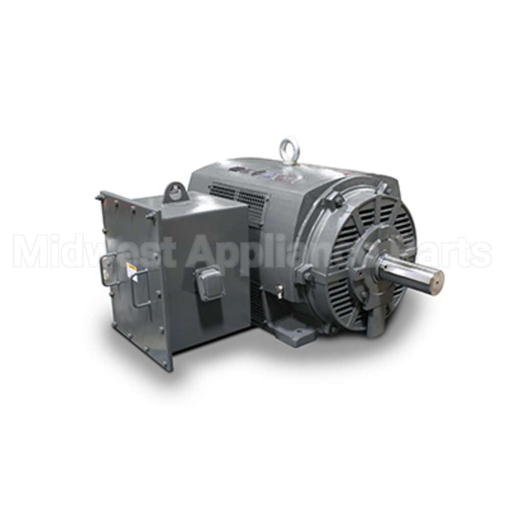 JH10006 Teco Medium Voltage Motor