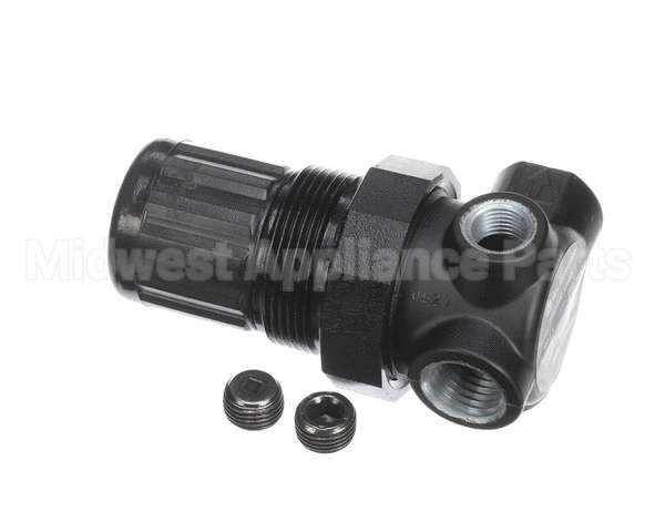 JT-R07200RNAA Joe Tap Regulator, 1/4" Npt, 1-10 Psi