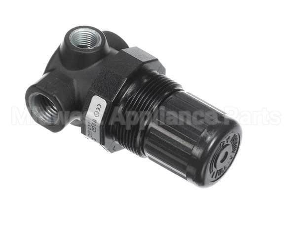 JT-R07200RNAA Joe Tap Regulator, 1/4" Npt, 1-10 Psi