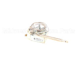 K00798 Globe Thermostat