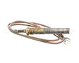 K00800 Globe Thermopile