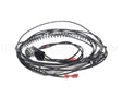 KAACH1701AAA Carrier Crankcase Heater