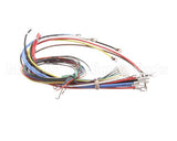 KE02097-1 Cleveland Harness;Kel/T(Sw,208-480 )Hw,2