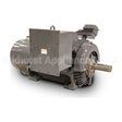 KF12506 Teco Medium Voltage Motor