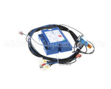 KITGAS-002 Firex Kit,Trasf, Cntr Gas P19 A P25