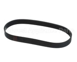 L02093 Globe Belt (5F-4236)