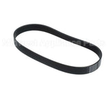 L02093 Globe Belt (5F-4236)