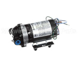 LCE-011 Mallet Ppo-500 Pump