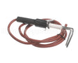 LH33WZ004 Bryant Payne Ignitor