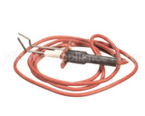 LH33WZ010 Bryant Payne Ignitor