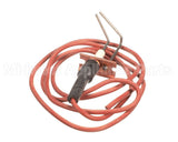 LH33WZ010 Bryant Payne Ignitor