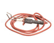 LH33WZ010 Carrier Ignitor