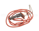 LH33WZ010 Carrier Ignitor