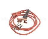 LH33WZ010 Carrier Ignitor