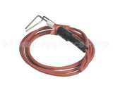 LH33WZ018 Bryant Payne Ignitor
