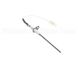 LH680013 Bryant Payne Flame Sensor