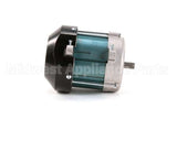 M030 Globe 1/2 Hp Motor