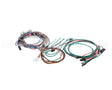 M237478 Moffat Harness
