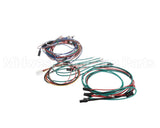 M237478 Moffat Harness