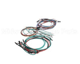 M237478 Moffat Harness
